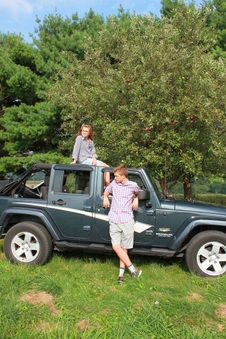 Enlarge photo 167