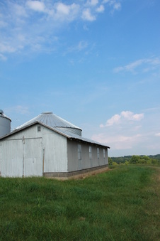 Enlarge photo 173