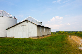 Enlarge photo 174