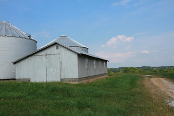 Enlarge photo 175