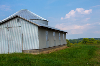 Enlarge photo 176