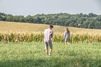 Enlarge photo 188