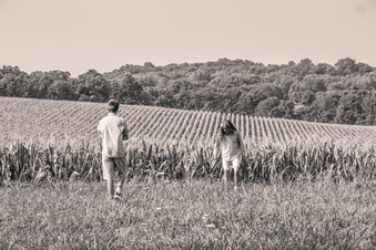 Enlarge photo 190