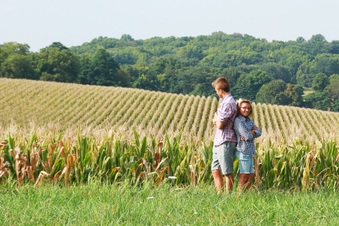 Enlarge photo 197