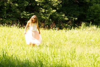 Enlarge photo 343