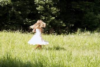 Enlarge photo 352