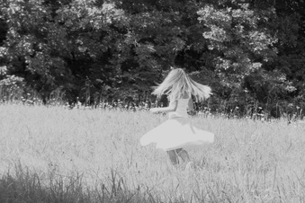 Enlarge photo 355