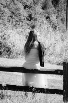 Enlarge photo 431