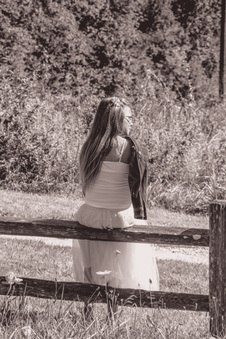 Enlarge photo 433