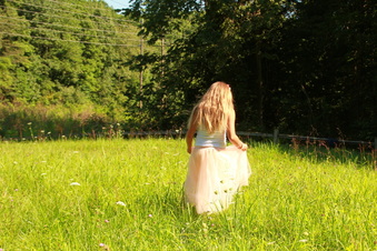 Enlarge photo 495