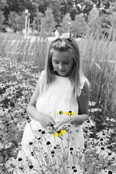 Enlarge photo 154