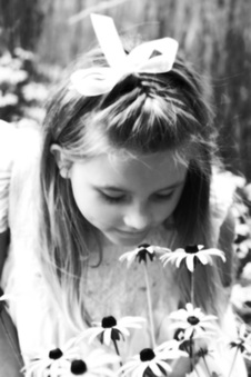 Enlarge photo 159