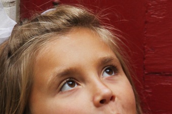 Enlarge photo 257