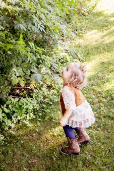 Enlarge photo 65