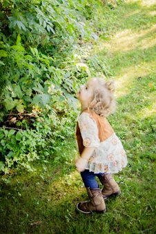 Enlarge photo 66