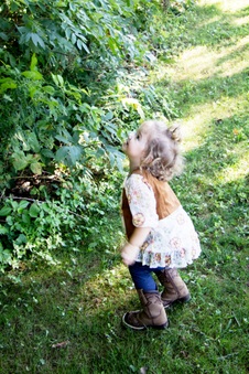 Enlarge photo 67