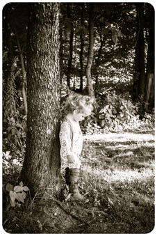 Enlarge photo 84