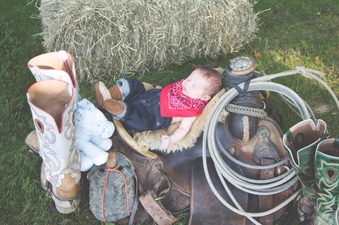 Enlarge photo 177