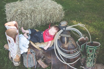 Enlarge photo 181