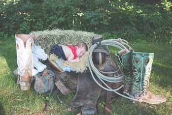 Enlarge photo 186