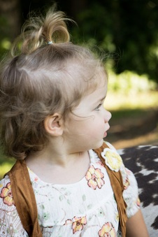Enlarge photo 237
