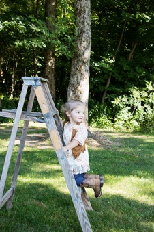 Enlarge photo 239
