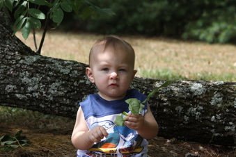 Enlarge photo 39