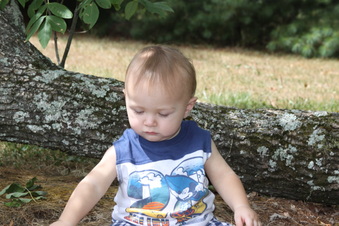 Enlarge photo 40