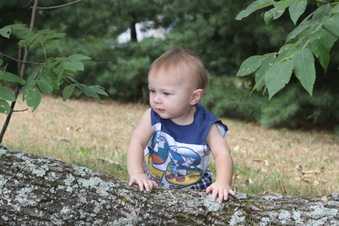 Enlarge photo 43