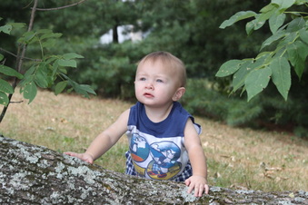 Enlarge photo 45