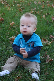 Enlarge photo 81