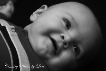 Enlarge photo 142