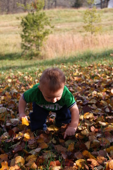Enlarge photo 27