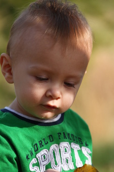 Enlarge photo 37