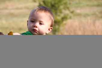 Enlarge photo 41