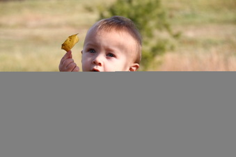 Enlarge photo 43