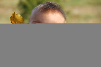 Enlarge photo 45