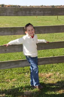 Enlarge photo 175