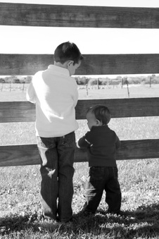 Enlarge photo 184