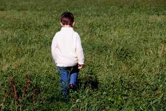 Enlarge photo 201