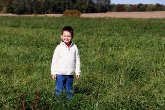 Enlarge photo 204