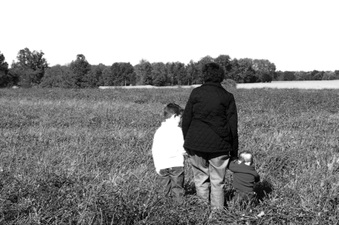Enlarge photo 205
