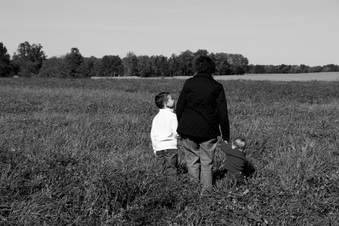 Enlarge photo 207