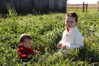 Enlarge photo 220