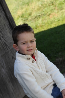Enlarge photo 225
