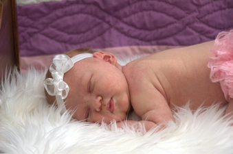 Enlarge photo 81