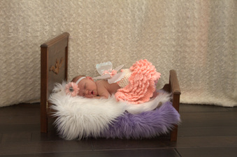 Enlarge photo 93