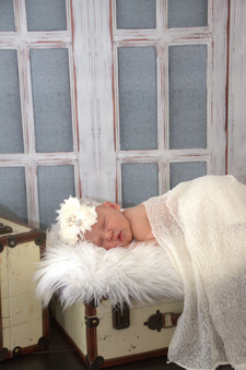 Enlarge photo 107