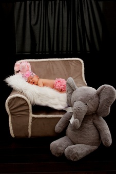 Enlarge photo 116