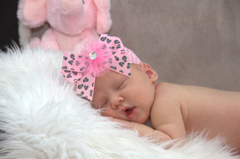 Enlarge photo 117